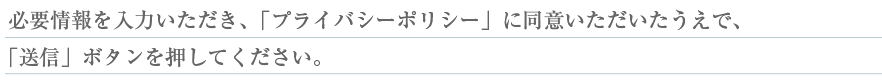 必要情報を入力いただき、「プライバシーポリシー」に同意いただいたうえで、「送信」ボタンを押してください。
